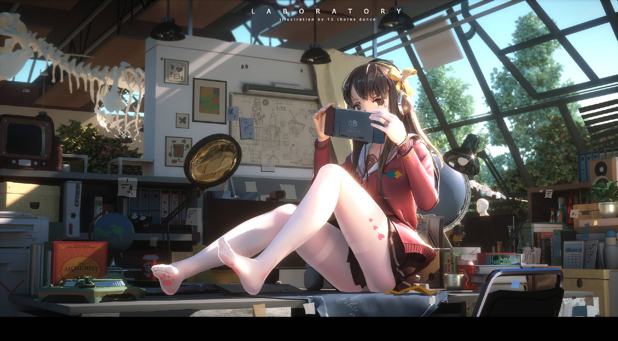 魔卡领域魔卡领域基础学习：萌新如何学习法主炮流