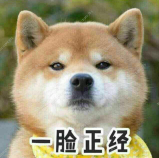 光荣使命：使命行动光荣日报 — 1月26日停服更新公告（已开服）(*╹▽╹*)