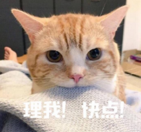 巨像骑士团【骑士先锋队】《巨像骑士团》即将开测，快来看看游戏有哪些变化