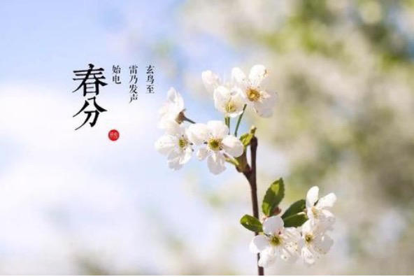魔幻厨房【活动贴】春天渐入佳境，美好“分”至踏来！