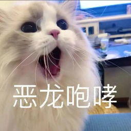 阿比斯之旅 Journey Of Abyss【同人故事】旅人姐妹的往事
