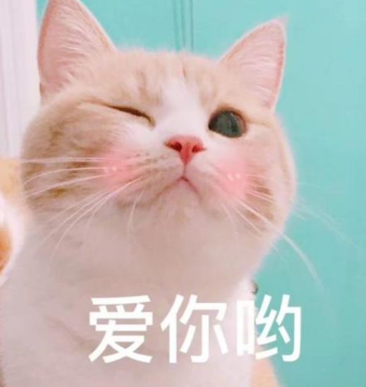 如梦下弦月《如梦下弦月》之通告宣发