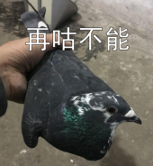 蒸汽传说：时之旅已结束 | 《蒸汽传说：时之旅》预约送限量周边