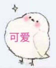 王的骑士周五茶话会~必须和大家吐吐槽（小鱼篇）