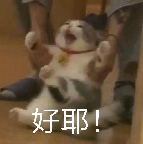 月光之城基础攻略五：灵宠篇（3.28版本）