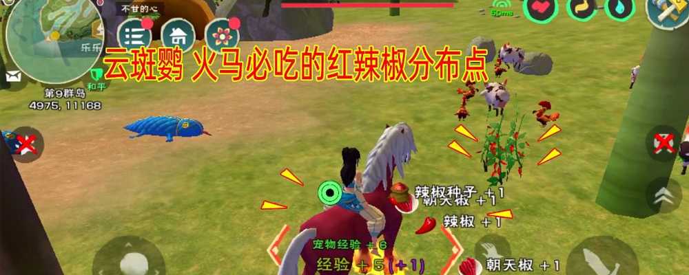 创造与魔法创造与魔法红辣椒在哪