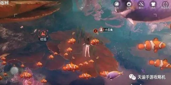 天谕天谕手游汐愿之海鱼类分布大全