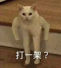世界之战【争霸赛】第二战区亚军“紫”专访！