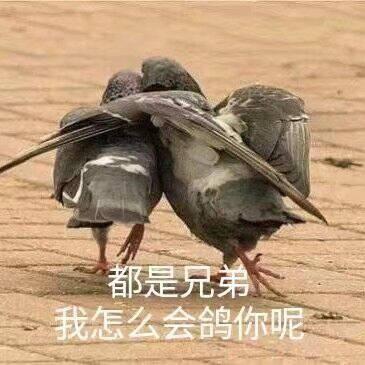 忍者必须死3【攻略向】S9卡牌详解 卡牌分析 恶咒究竟能不能弄死破斧角色