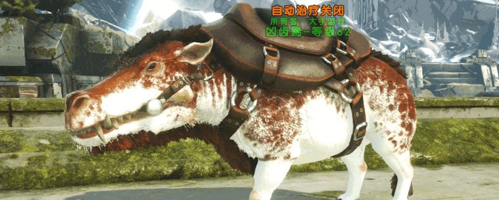 方舟：生存进化方舟手游凶齿豨吃什么饲料驯养