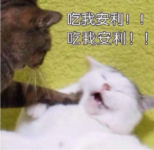 钢铁战队（付费版）【活动】这个双节不放假，钢铁战士还在奔波