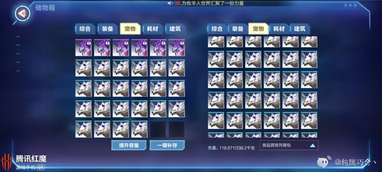 我的起源#宠物攻略#攻击潜能提升