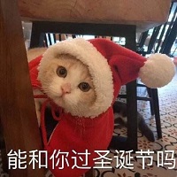 预言世界《预言世界》12月24日开服公告