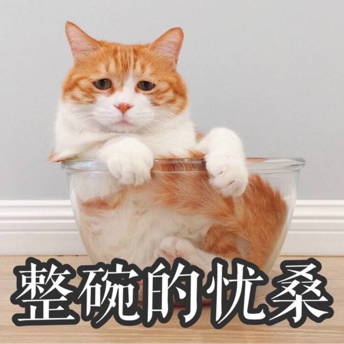 钢铁战队（付费版）【限时】举国欢庆, 东品游戏“双节”回馈