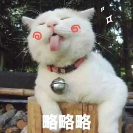 进击的阿斯托拉：诺伦之秘《进击的阿斯托拉-诺伦之秘》战姬和装备系统介绍
