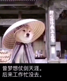 灵兽江湖玩法建议收集