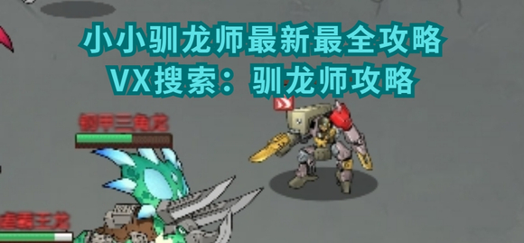 小小驯龙师【小小驯龙师】龙王争霸十一点总结攻略（看完直冲前3名）