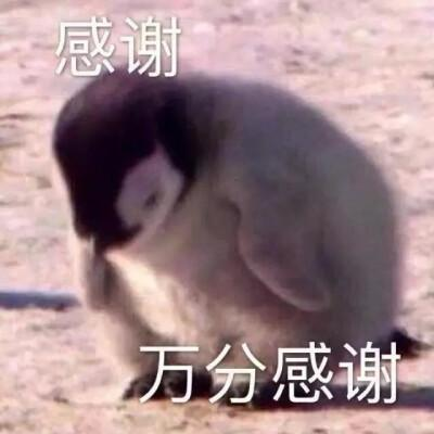 我的仙门致各位掌门：好久不见，是时候来说点什么了