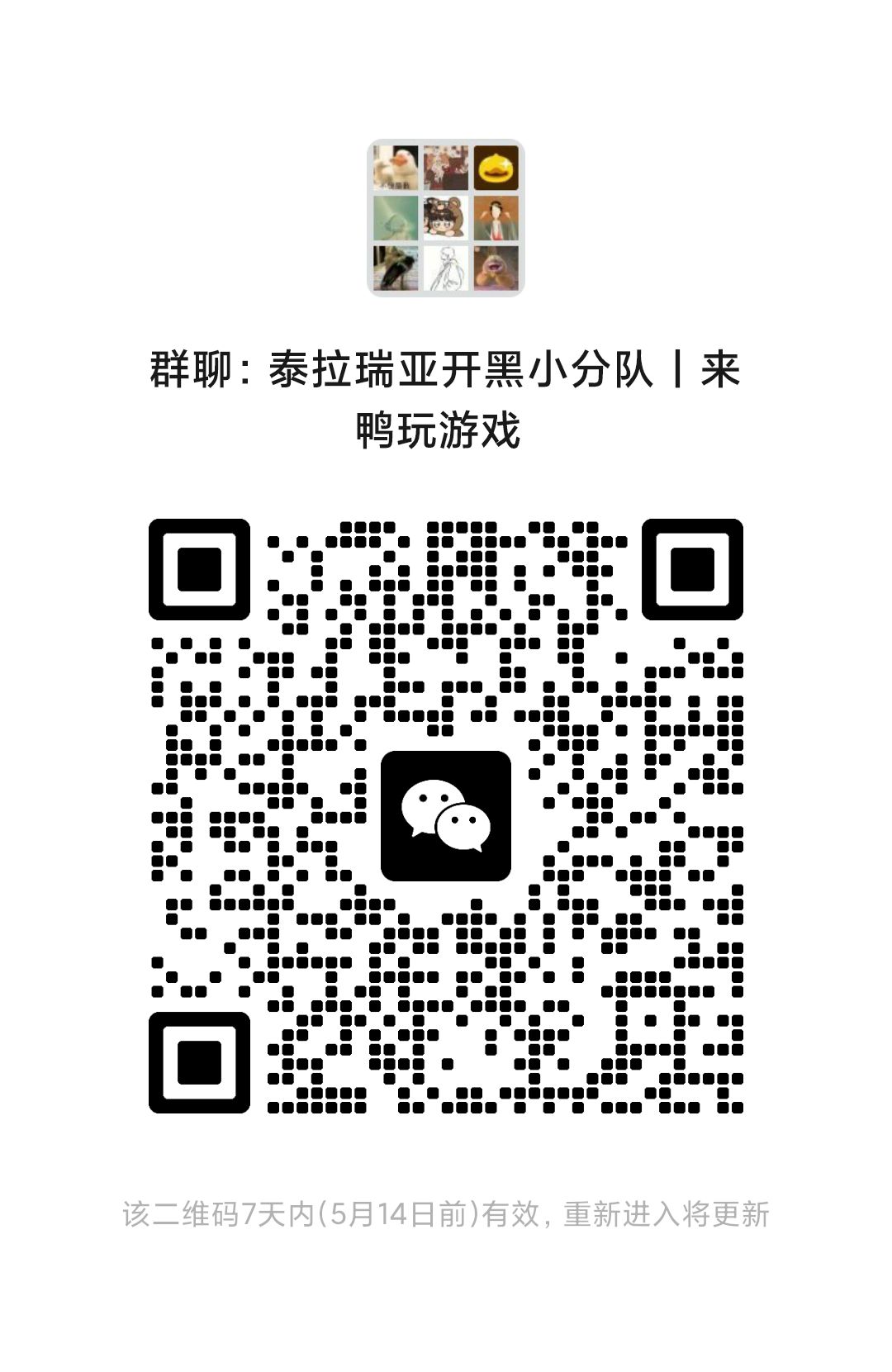 泰拉瑞亚盘点一下泰拉里那些可以加移速的饰品（肉前篇）
