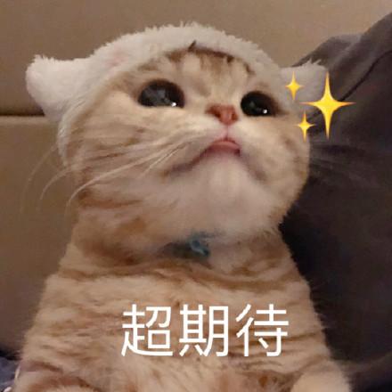看见飘扬的斗篷了吗（已开奖）标题：第6期【斗篷开发日记】&mdash;等待版号下来