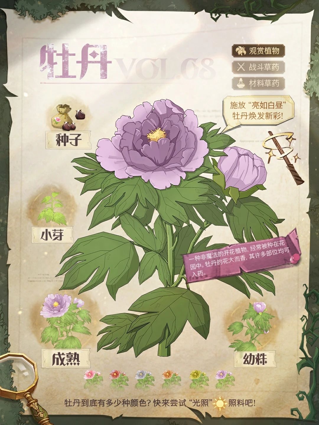 哈利波特：魔法觉醒魔法植物图鉴丨突破技术难点！巫师成功培育出麻瓜植物？
