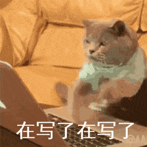 幻象回忆【明哥碎碎念】新一轮内部测试开始了，和大家分享下心情吧