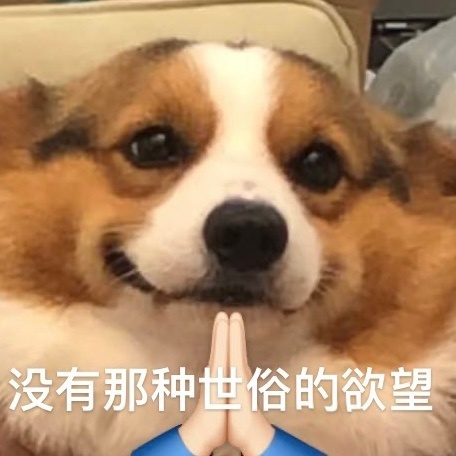 看见飘扬的斗篷了吗（已开奖）第4期【斗篷开发日记】&mdash;版号问题修改完成