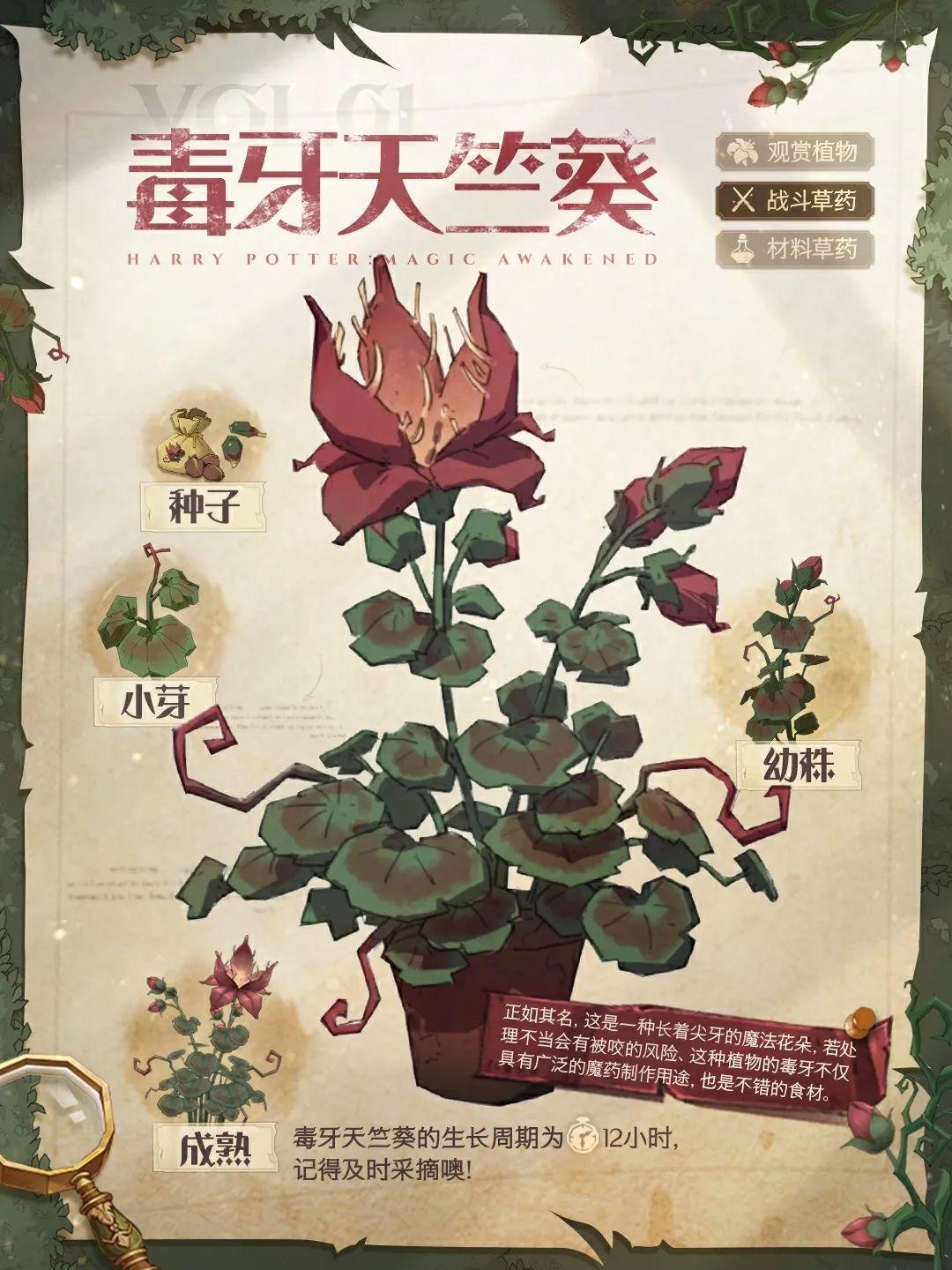 哈利波特：魔法觉醒魔法植物图鉴丨第一期：毒牙天竺葵