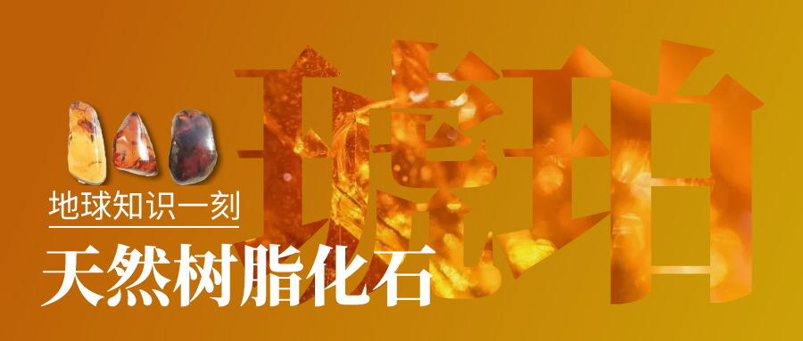 我的卫星知识一刻 | 白如骨头的琥珀，你可曾见过？