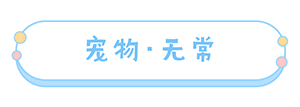 天境传说天境百科|宠物·无常
