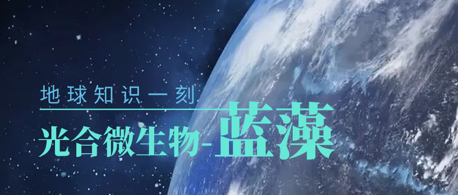 我的卫星知识一刻 | 生命起源的基石是什么？没有它或许就没有生命