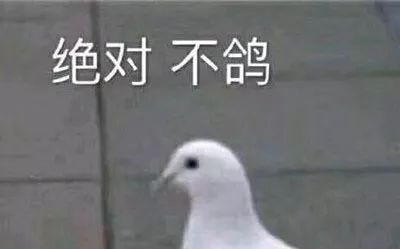 魔力调查局测试须知