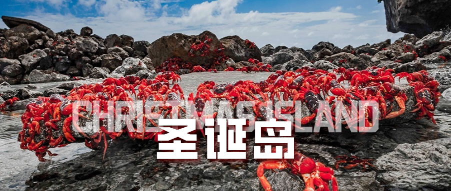 我的卫星地球明信片 | 你听说过圣诞岛嘛？一个旅行必去的奇妙岛屿