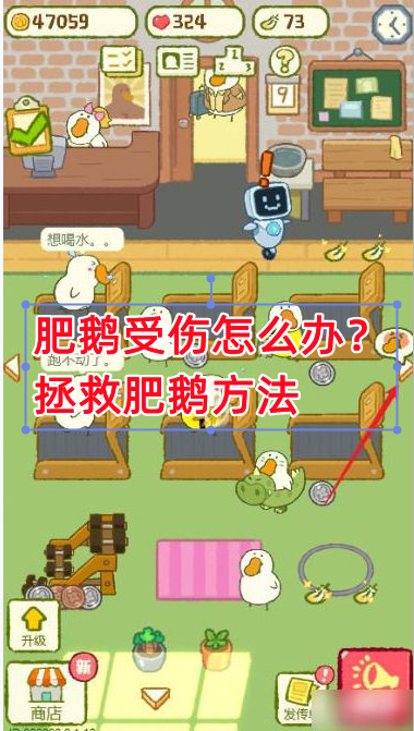 肥鹅健身房《肥鹅健身房》肥鹅受伤怎么办？拯救肥鹅方法