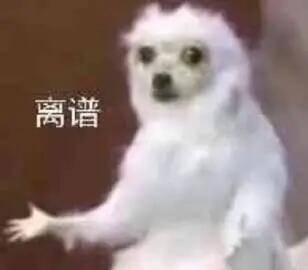 未定界【人设篇-卡鲁卡鲁】 离谱！？密室遭窃，飞天大盗凭空消失！