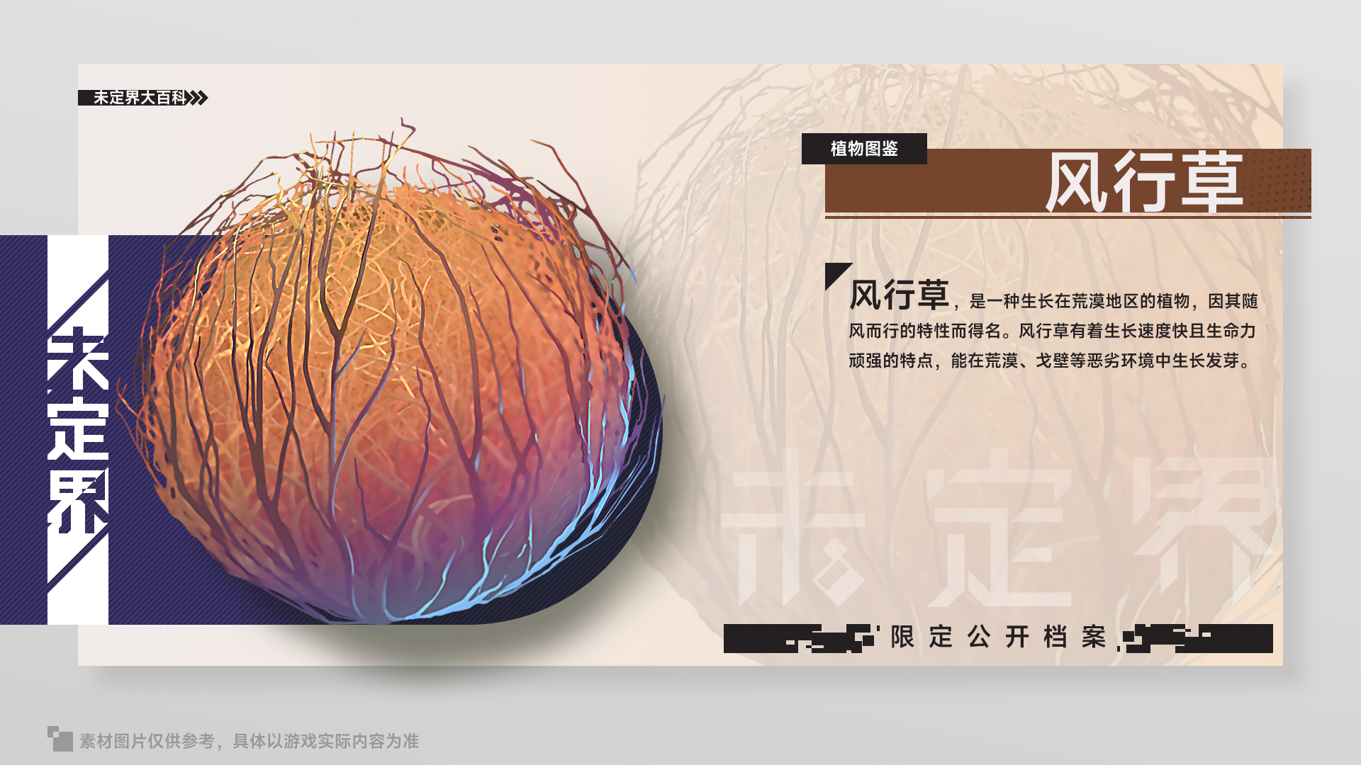 未定界【未定界大百科】植物篇——风行草