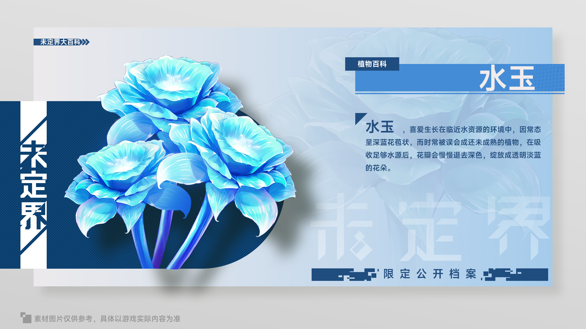 未定界【未定界大百科】植物篇——水玉