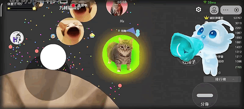 球球大作战【球宝攻略】霸屏赛 “猫” 系绝杀！哈基猫皮肤封神指南