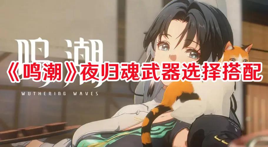 鸣潮鸣潮夜归魂武器怎么选择
