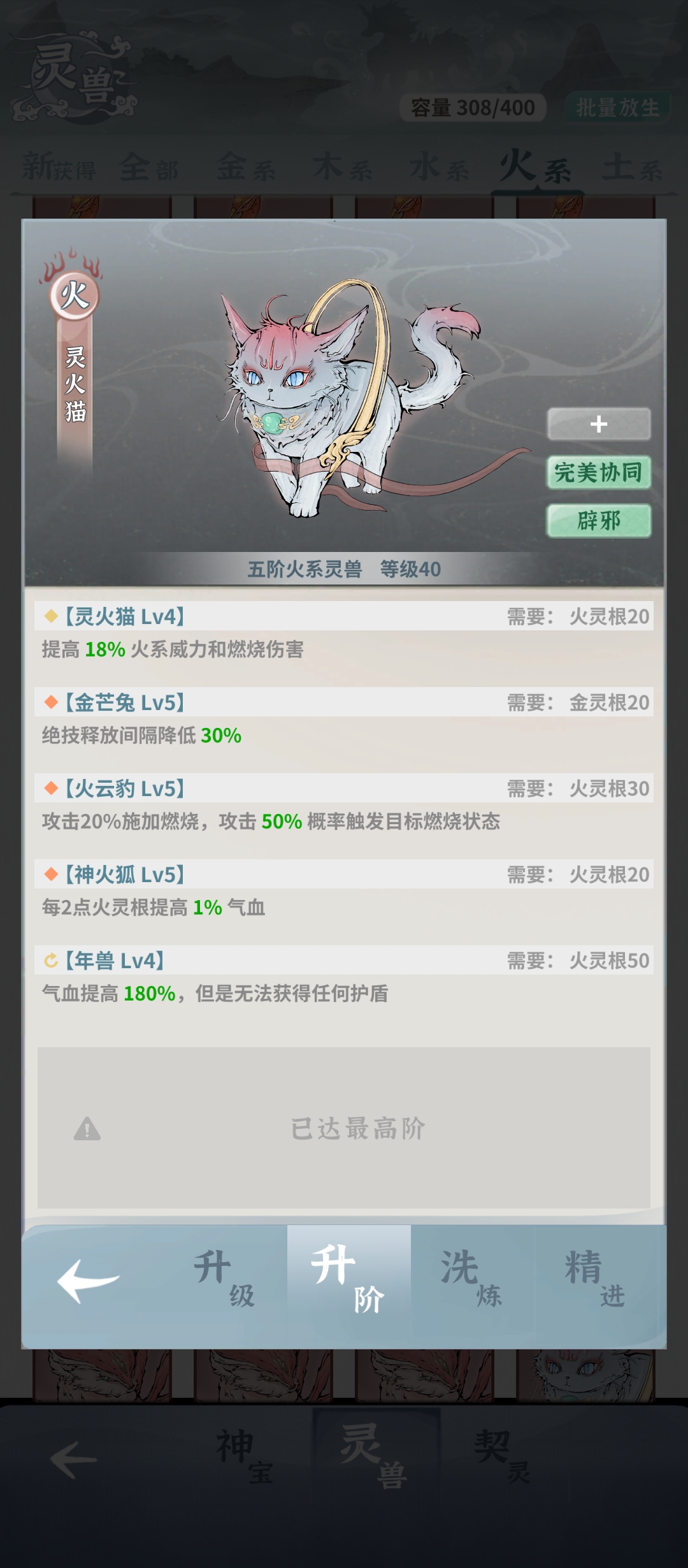 碧海苍云录火剑-烨凰昭开局攻略（内容仅供参考）