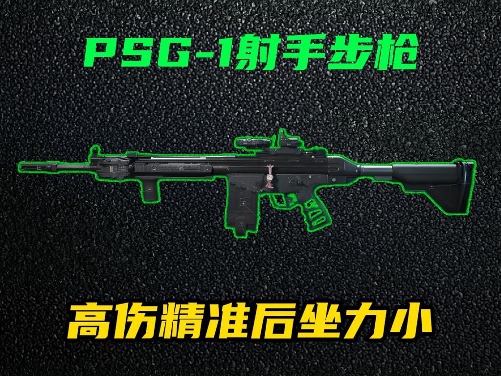 三角洲行动【全面战场】PSG-1高伤高精准利器，中远距离步枪手必备！