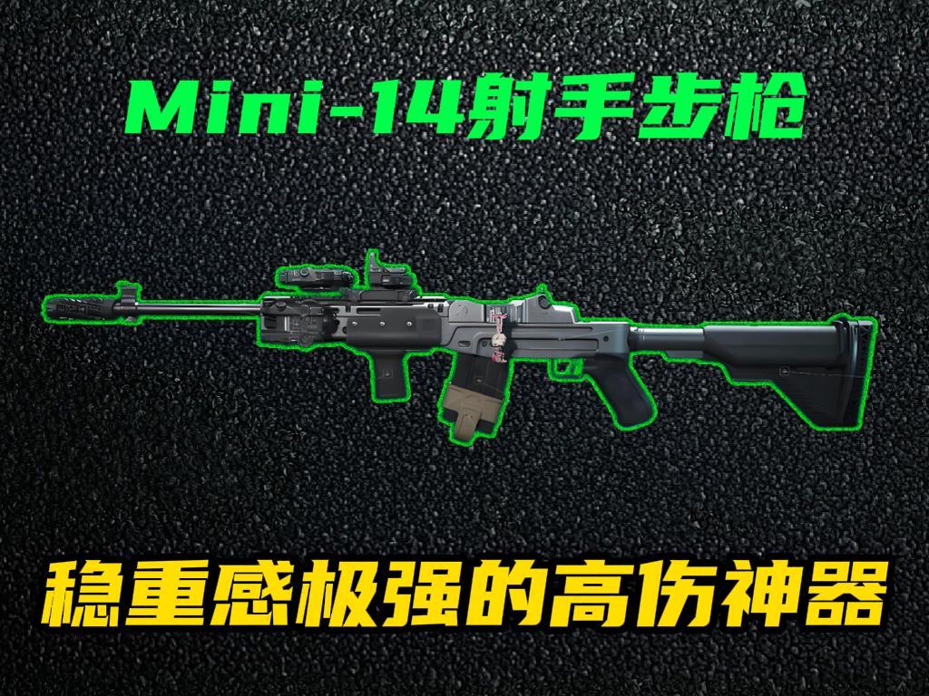 三角洲行动【全面战场】Mini-14射手步枪改装！中远程稳压还是短板明显？