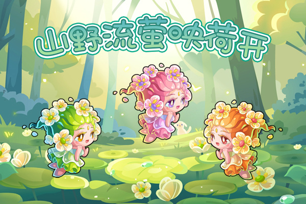 开心水族箱山荷花带你点亮山野~