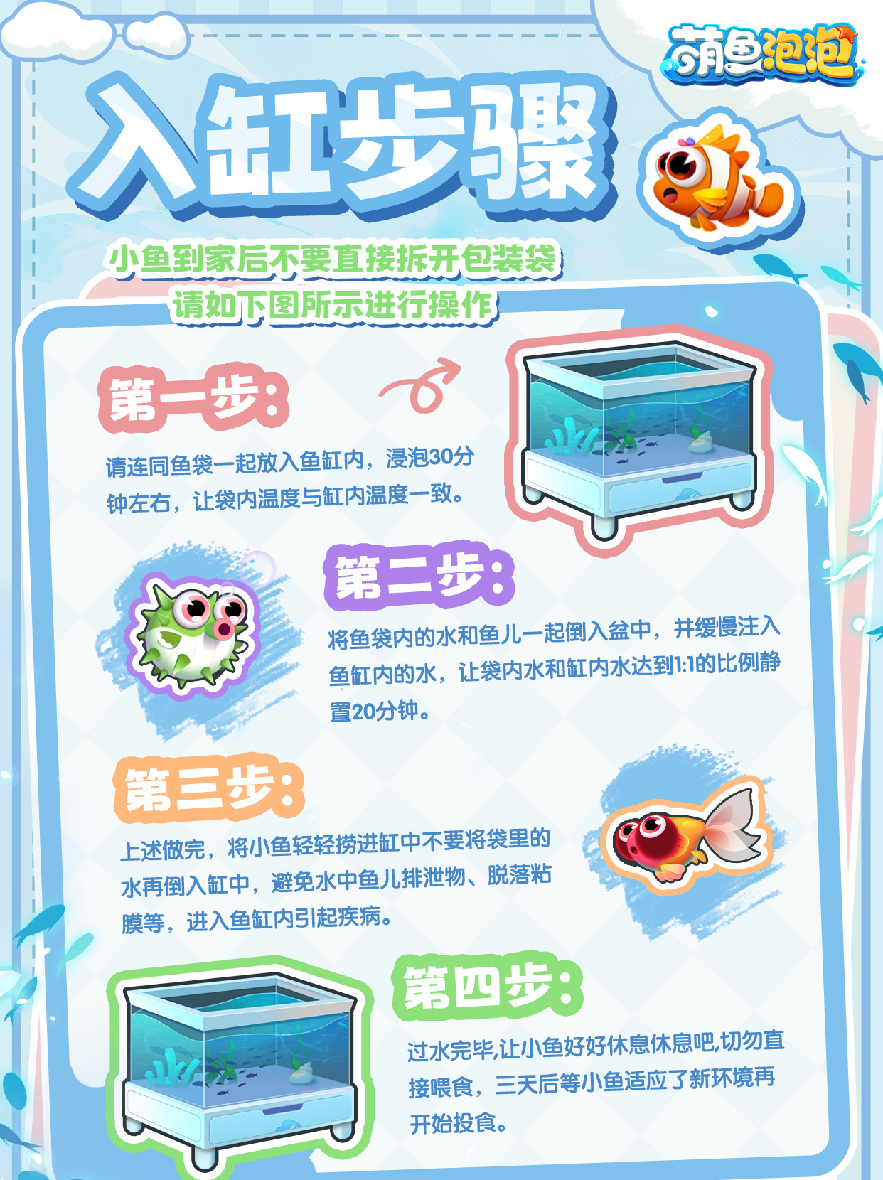 萌鱼泡泡新鱼入缸这4步，让小鱼快速适应新家~