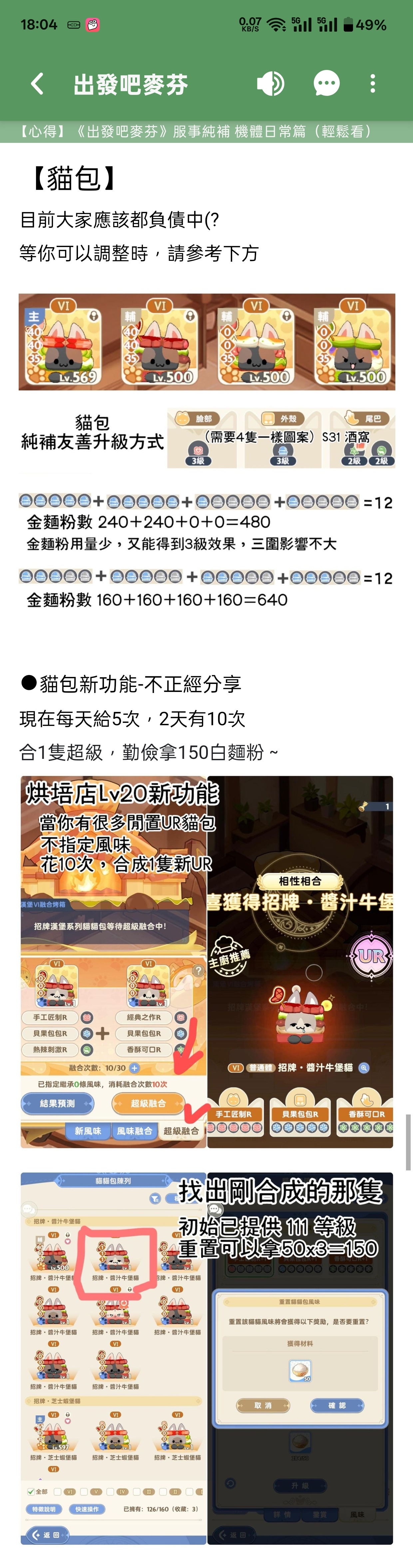 出发吧麦芬（搬运）六代猫包攻略（原文为纯奶养成）