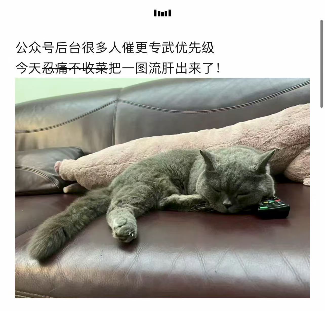 剑与远征：启程&ldquo;火龙&rdquo;赛季三阶段专武养成优先级