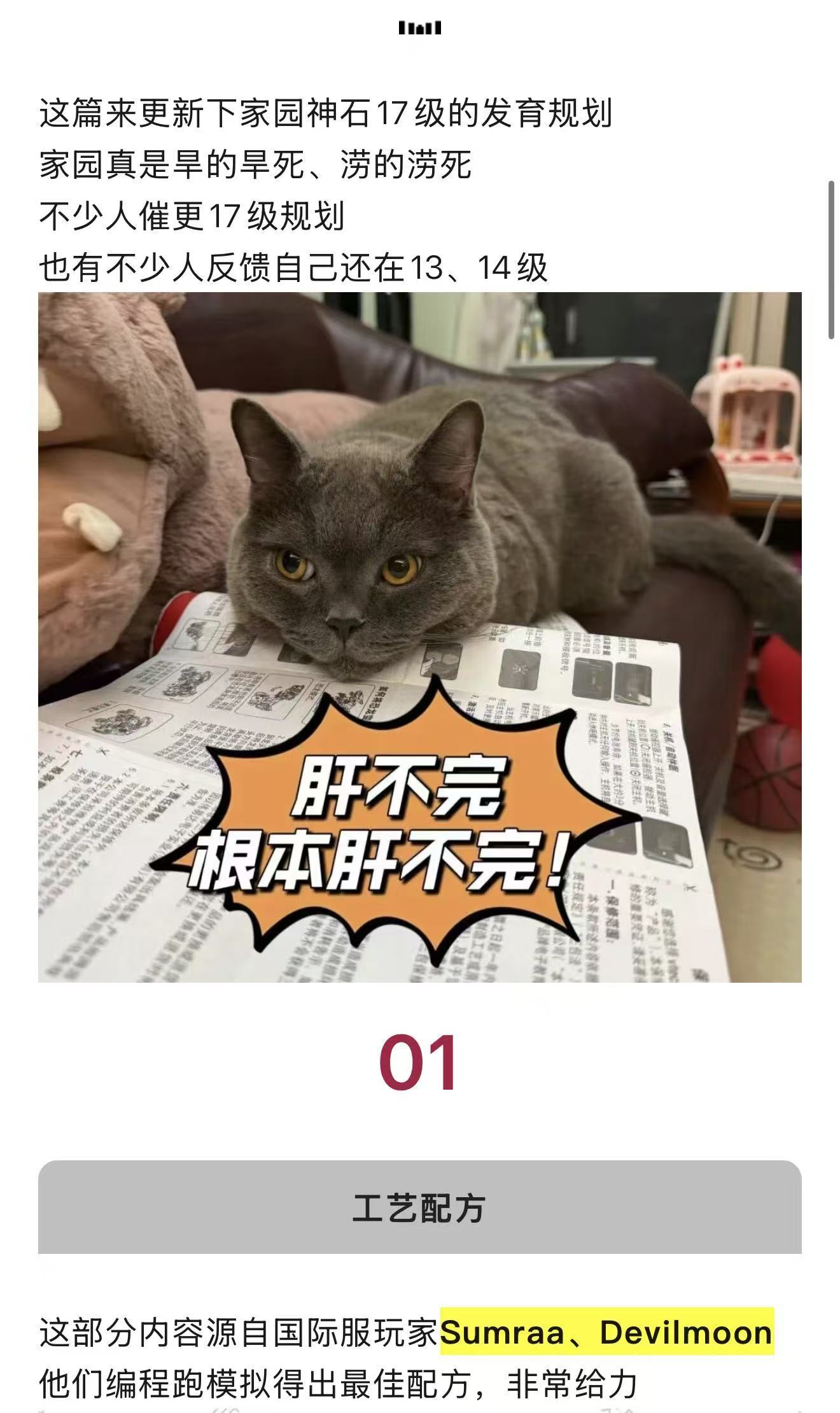 剑与远征：启程【八宝农研】家园17级神石发育贴士｜工艺配方、魔潮队伍