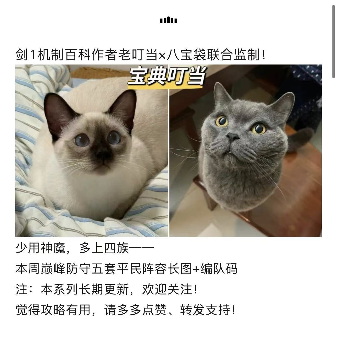 剑与远征：启程【宝典叮当】12.31-1.4巅峰平民阵容｜赛季最强地图制裁