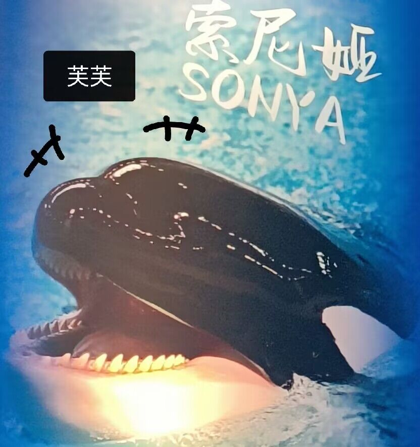 弈仙牌（DIY）请选择你的弈仙导师（更新36承让了领域大神●田道）