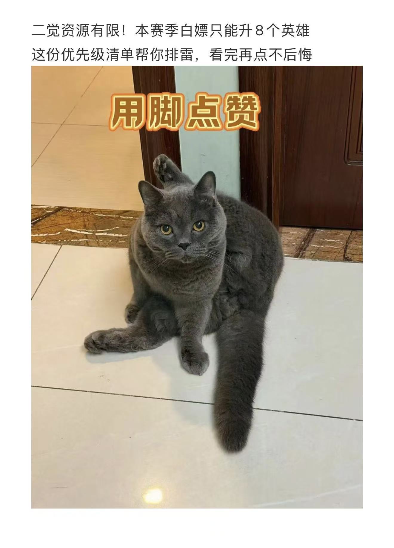 剑与远征：启程公会里谁二觉点错了？这份二觉优先级排名，能救一个是一个